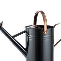 Кухата Лейка