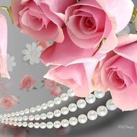 عازفة الامل