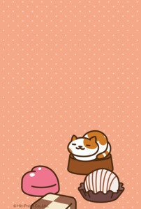 Coolkittens
