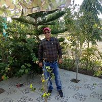 Awadhesh Mishra