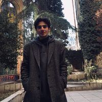 ბერძენაძე დემეტრე