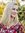 Stephanie Fisher