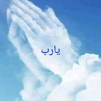 ايهاب الشاهد