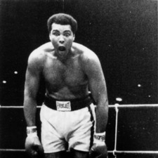 محمود الجندي