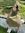 Lauren (lauren_park) | 2 comments