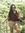 Dessy P...