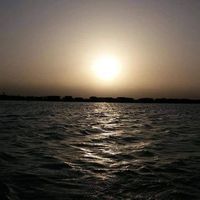 ياسر السلفي