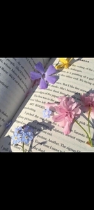 Vicku_books