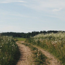 ruby o’toole nolan