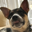 nugget_emily