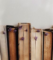 _bookstackbesideawall_