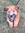 Hannah | 1 comments
