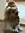 katea (kateehq) | 4 comments