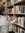 sophia | 1 comments