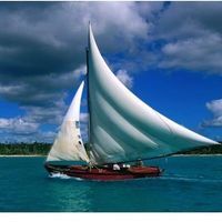 زكرياء الكورك