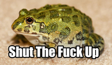 Bullfrog