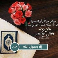 ابومحمودواحمد المصرى