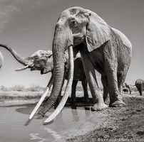 சீராளன் தமிழன்