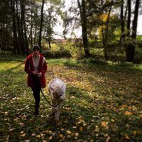 Hedi Schuster