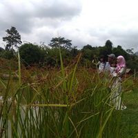 Shafiqa Salim