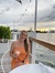 Angie D...