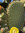 member photo member photo