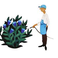 მომსახურება შენი სახლი ჯიქიაზე