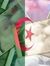 عبد الرشيد