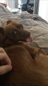 Fletchasketch