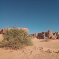 قادري محمد الحافظ