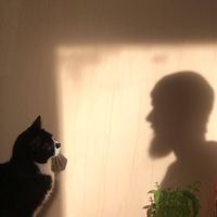 David Clifton-Sprigg