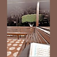 إسـراء محمد