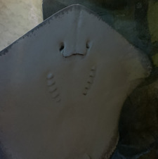 AP