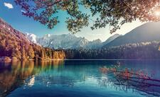 شيماء  عبد الحكيم  الرفاعي