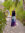 Yashvi (yashvi0503) | 2 comments