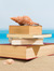 Stacey DeCotis (Reading in the Middle Grades)