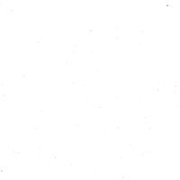 Димана Йорданова