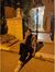 Yosra S...