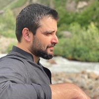 Hamza Abbasi