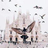 زياد المحياء