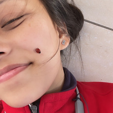 Nivedita