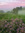 moonfi | 8 comments
