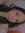 Annailia