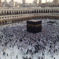 محمد الشافعي