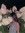 member photo member photo