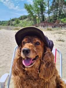 Вероника Калайджиева