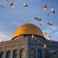 دنيا إبراهيم