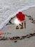 آلاء سليم