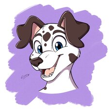 Spottystuffs