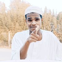 النذير عبد اللطيف